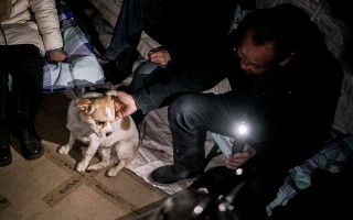 【图集】安置点的夜：13人失联，青海金田村部分村民被集中安置|界面新闻 · 影像