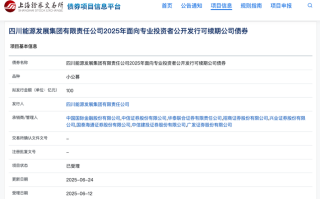 四川能源发展集团100亿元小公募债项目获上交所受理|界面新闻 · 快讯